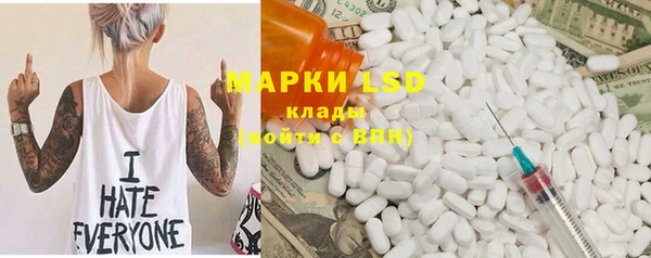 индика Шадринск
