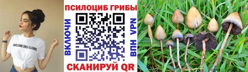 Купить закладки  Радужный  Псилоцибиновые грибы GOLDEN TEACHER 